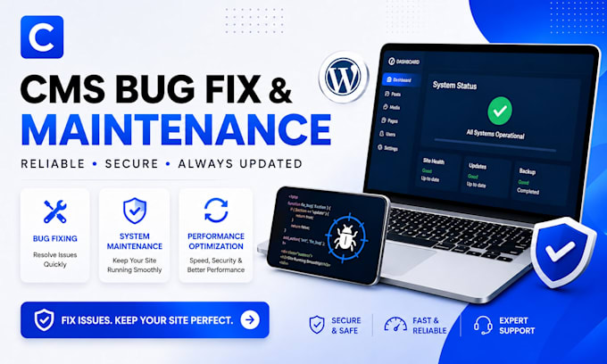 fix bugs and issues on your cms website