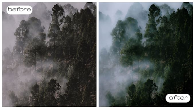 edit and enhance your photos using adobe lightroom