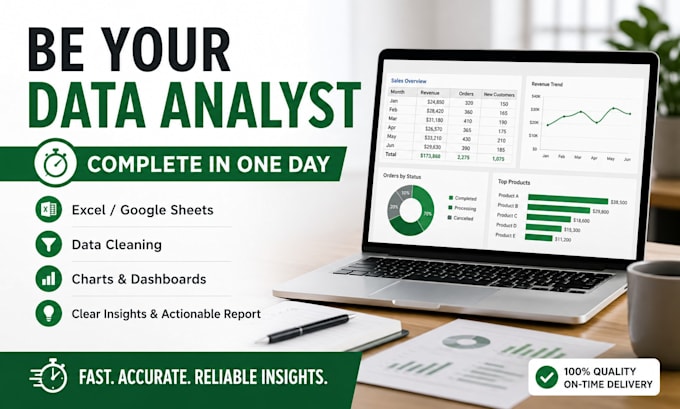 be your data analyst, complete in one day