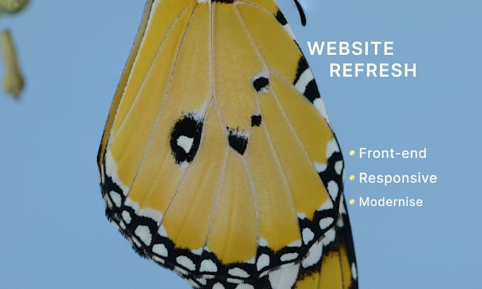 improve and refresh your existing website