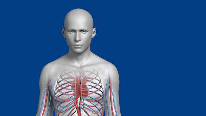 do drug moa animation, pathophysiology animation, cellular mechanism animation