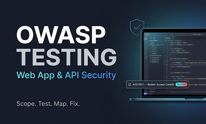 perform owasp web application security testing and vulnerability assessment
