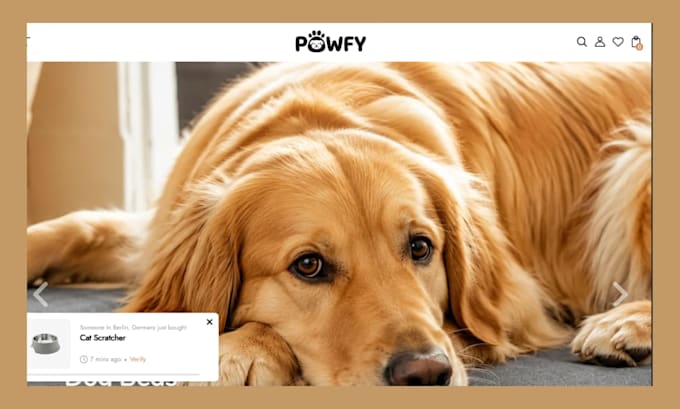 build a shopify pet store and website