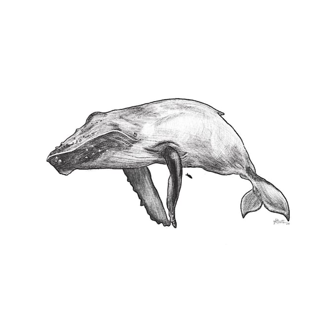 illustrate a custom tattoo