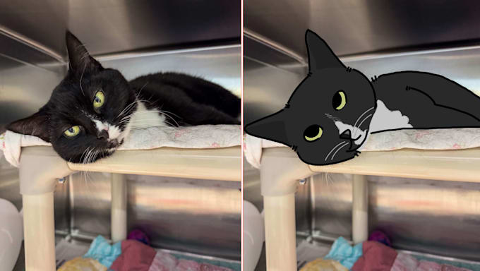 draw your pet as a silly cartoon