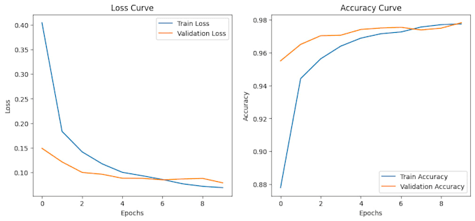 build a custom image classification model using pytorch