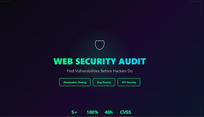 do a professional web application security audit