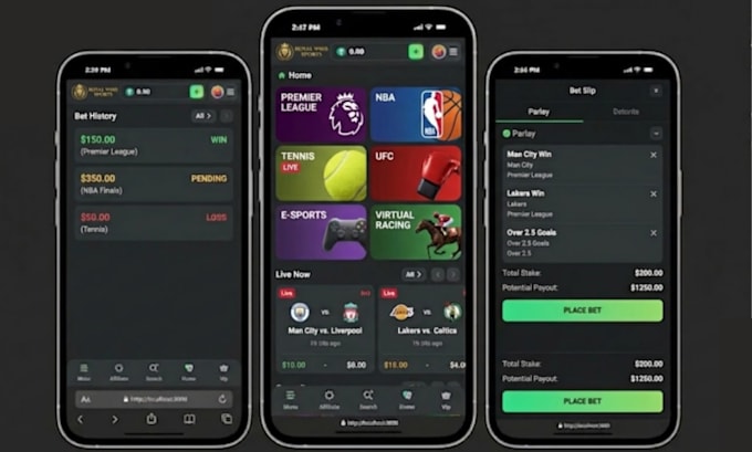 develop crypto igaming software similar to stake, bcgame with slot, crash api