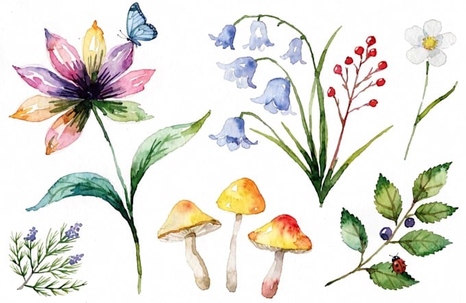 create watercolor and digital illustrations