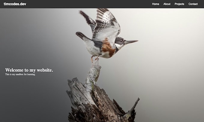build a landing page for you