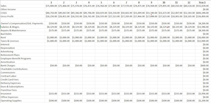 prepare pro forma projections for businesses startups constructions