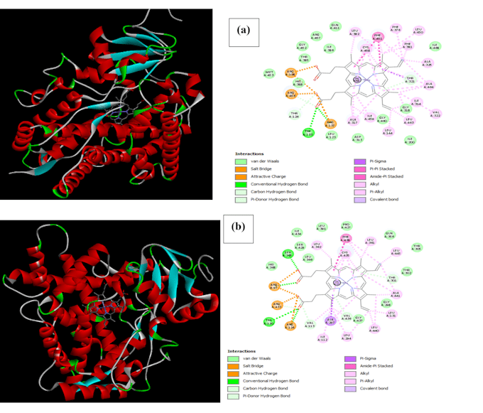 perform molecular docking and bioinformatics analysis