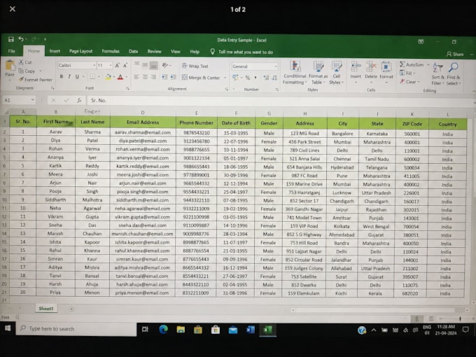 do data entry, copypaste data collection pdf to excel