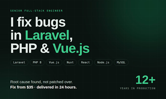 fix bugs and errors in your laravel php or vue js website