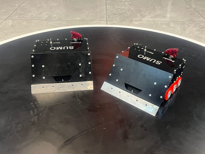 design and program your sumo robot