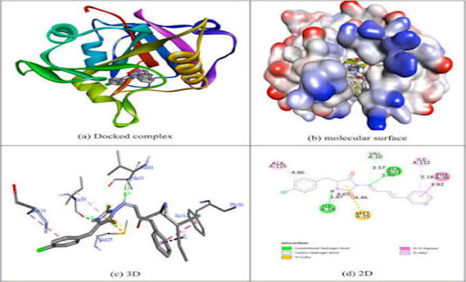 perform molecular docking and protein ligand interaction analysis