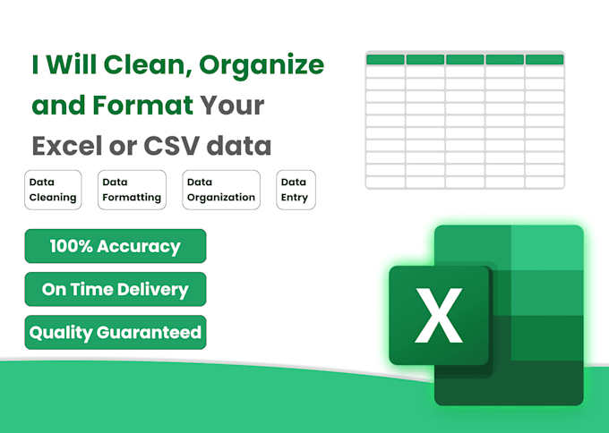 excel data cleaning, data formatting, and data entry