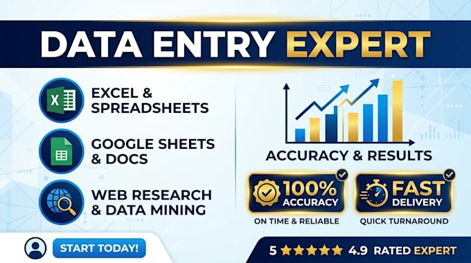 do expert data entry ms excel