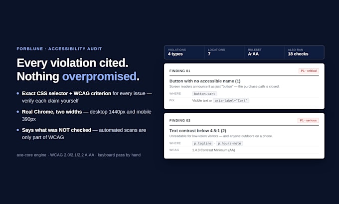 audit your website accessibility for wcag issues with exact evidence