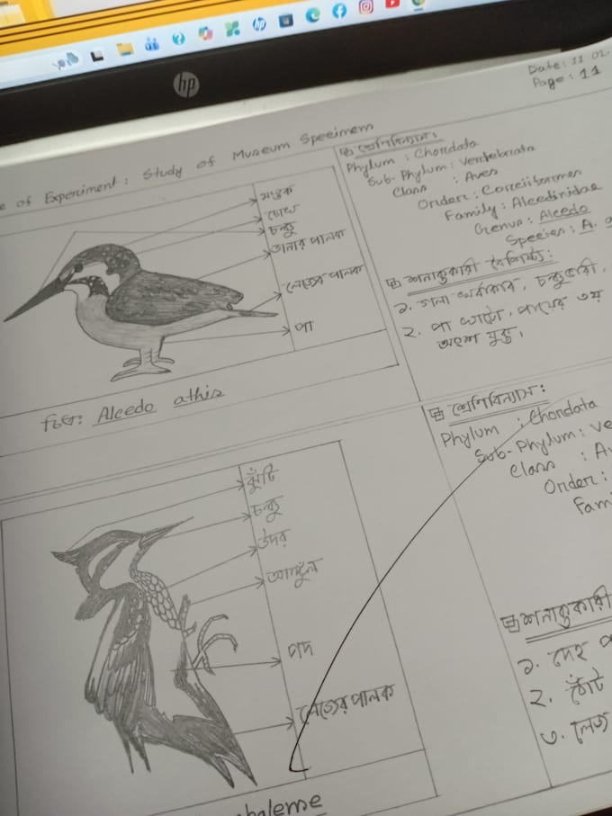 write neat handwritten notes, assignments, practicals and diagrams