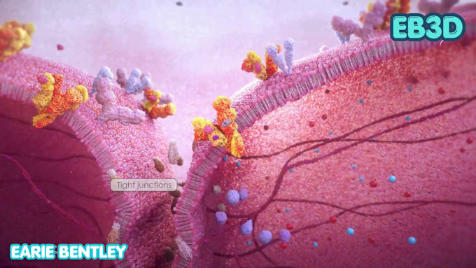 create 3d antibody binding protein interaction and moa animation