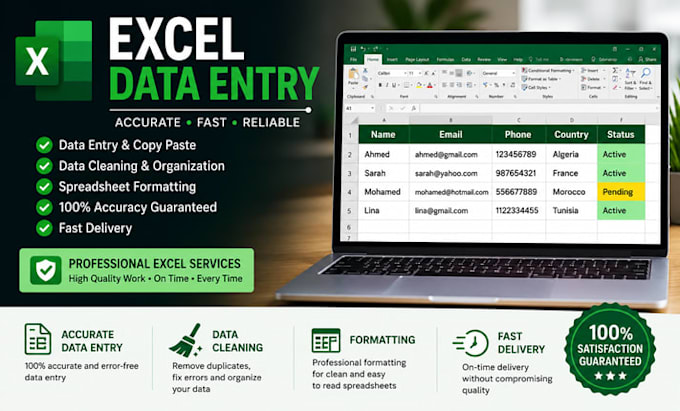 do professional excel data entry, data cleaning and formatting