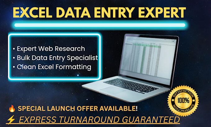 do expert excel data entry and web research