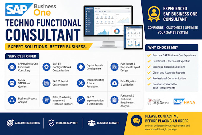 provide expert sap b1 techno functional consulting