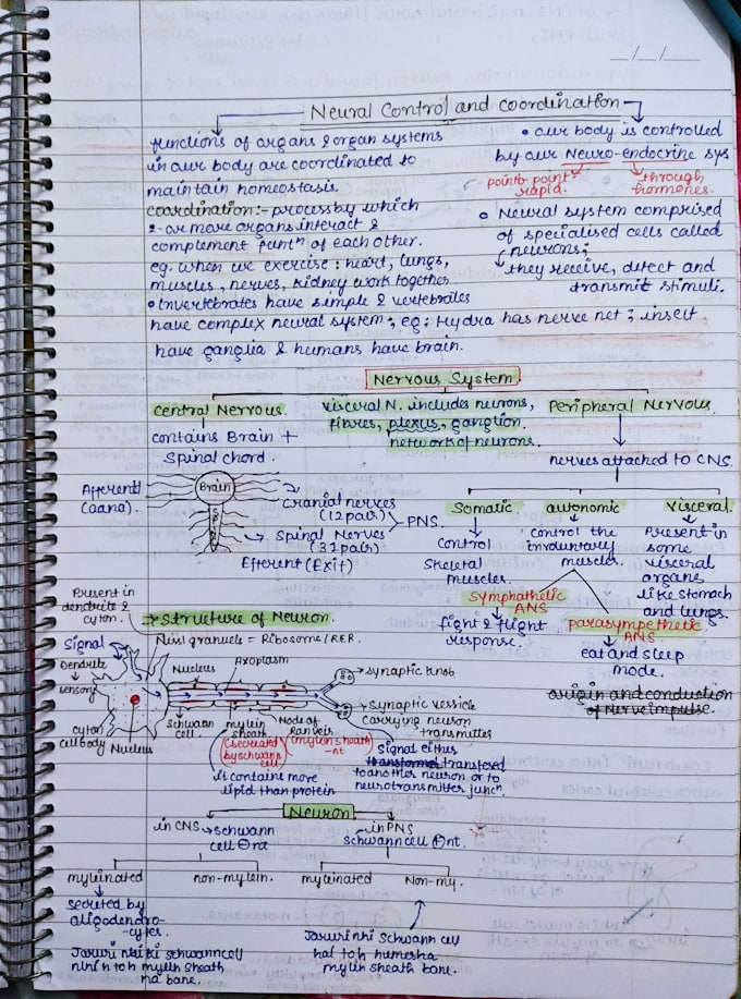 create neat handwritten notes and assignments