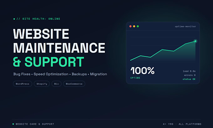 do website maintenance and website speed optimization