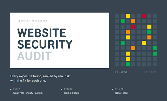 audit your website security