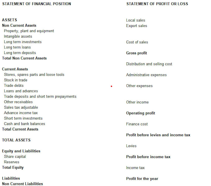 provide financial reporting, statements and audit support