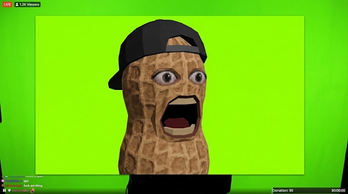 design a 3d vtuber model object avatar like burnt peanut style and rig it
