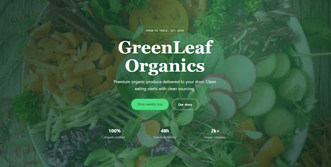 create a professional website or landing page