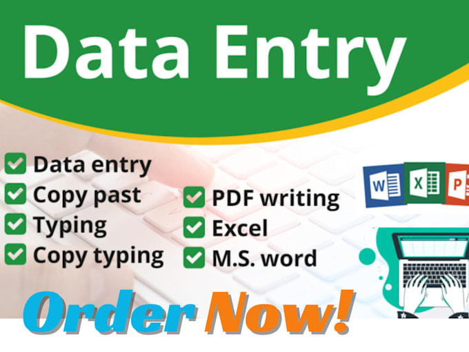 do professional microsoft  excel data entry