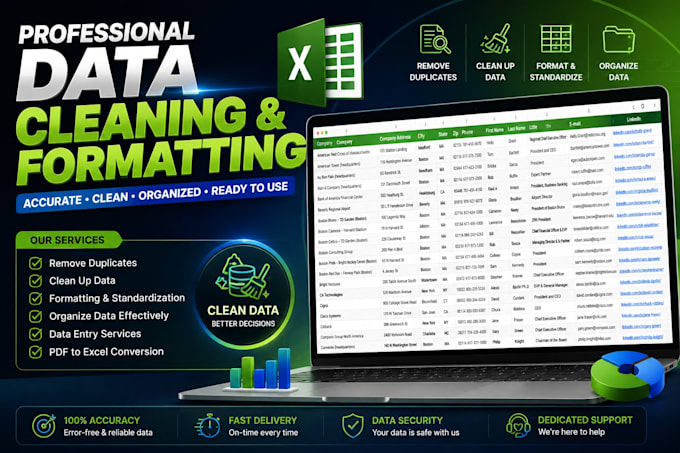 Do excel data cleaning, formatting, sorting and organizing by ...