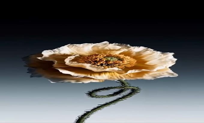 do 3d flower animation 3d plant animation