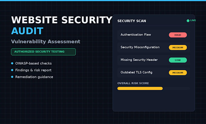 perform a professional web security audit and vulnerability assessment