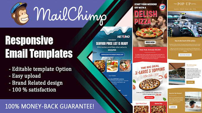 design professional mailchimp email template newsletter