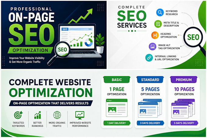 do professional on page SEO optimization for your website