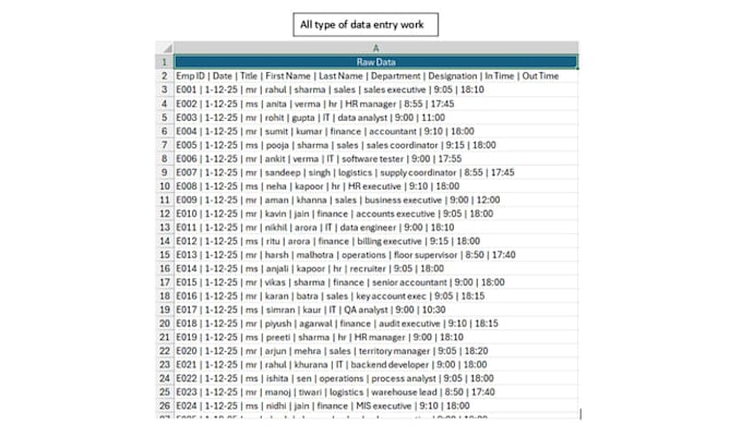 do data entry and data cleaning