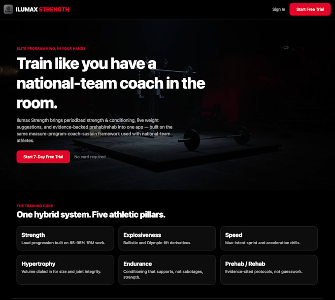 build a premium website for you