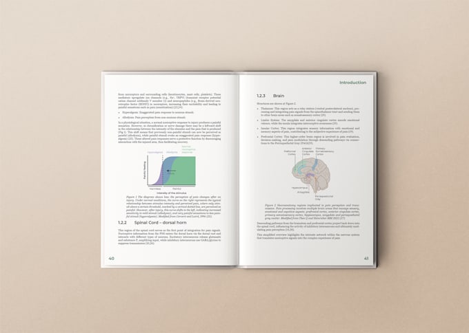 create a bespoke editorial layout in indesign