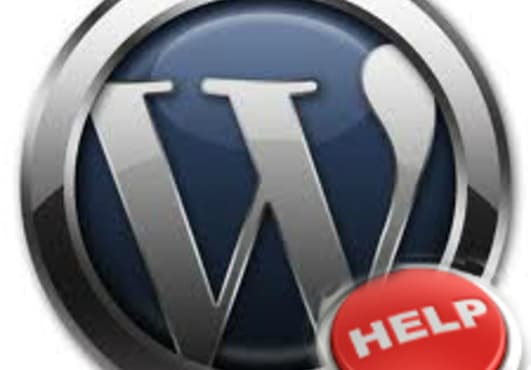 help you pick the RIGHT Worpress theme for your website