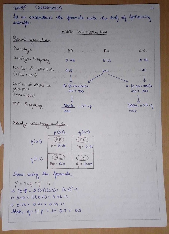 write assignments at affordable prices