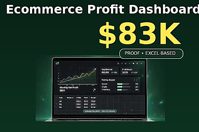 build profit and sales dashboard for shopify amazon ecommerce store in excel