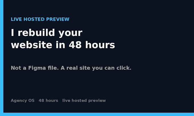 rebuild your website as a live preview in 48 hours