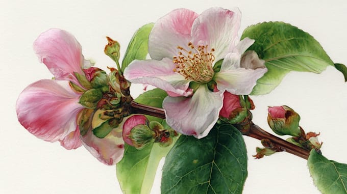 create elegant botanical illustrations inspired by nature