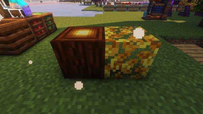 create a custom minecraft blockbench 3d model animation textures for you