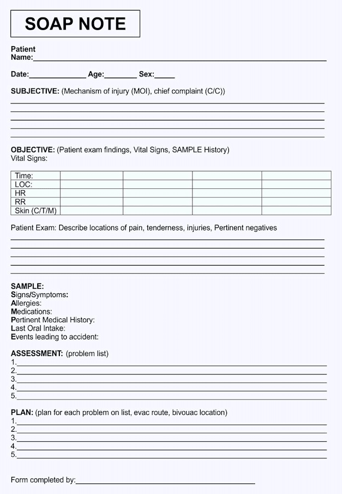 write professional and accurate soap notes